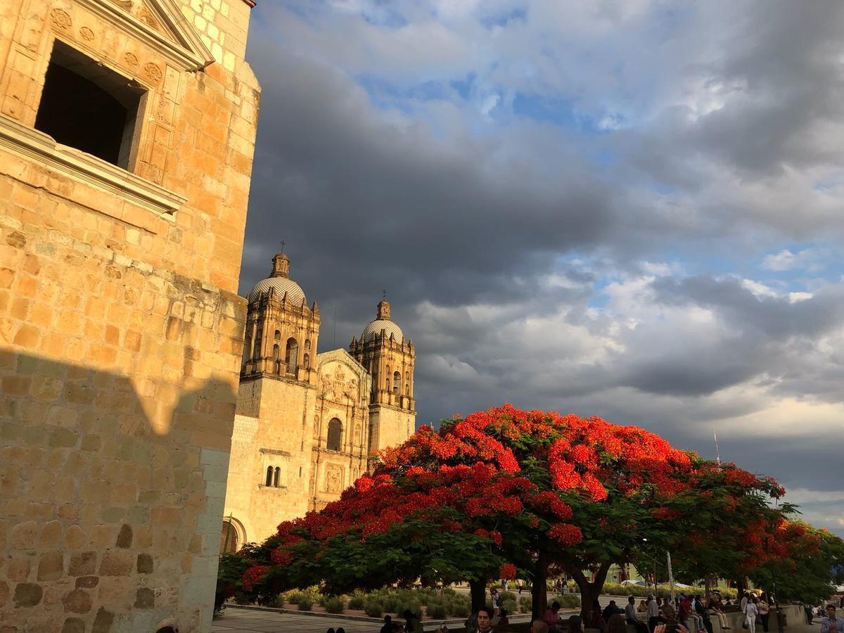 Suites Parador Santo Domingo De G. Oaxaca Eksteriør billede